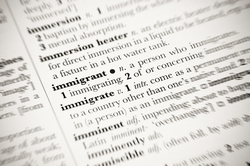  El Ple debat sobre immigració i seguretat
