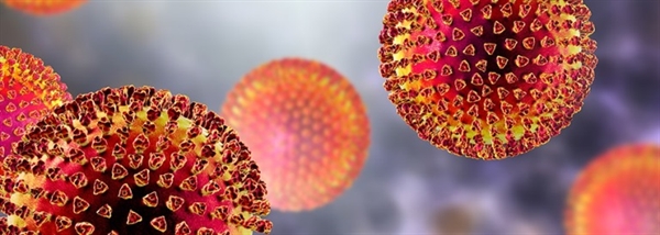 La UE destina 10 milions d'euros per a la investigació sobre el nou brot de coronavirus