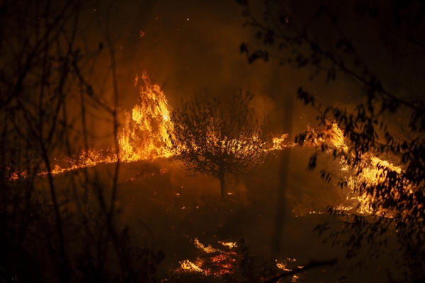 La Comissió posa en marxa una nova estratègia per fer front a la creixent amenaça d'incendis forestals