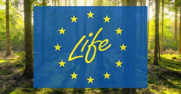 El programa LIFE de la UE dona suport a la gestió i la restauració dels aiguamolls Natura 2000 a Espanya